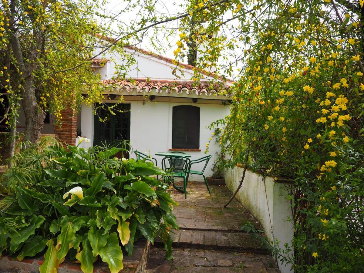 Cortijo El Berrocal Guest House กาซาญา เดลา เซียร์รา ภายนอก รูปภาพ